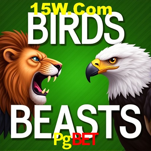 Pgbet Rio de Janeiro - Professional Dealers