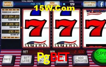 Sistemas de Segurança Pgbet